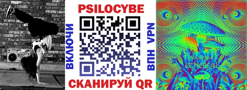 Псилоцибиновые грибы Cubensis  Бавлы 